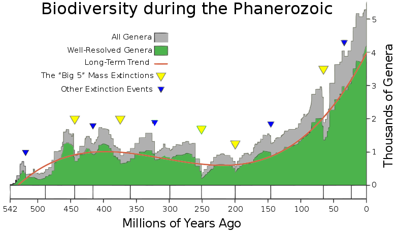 Phanerozoic biodiversity - diagram from Wikimedia