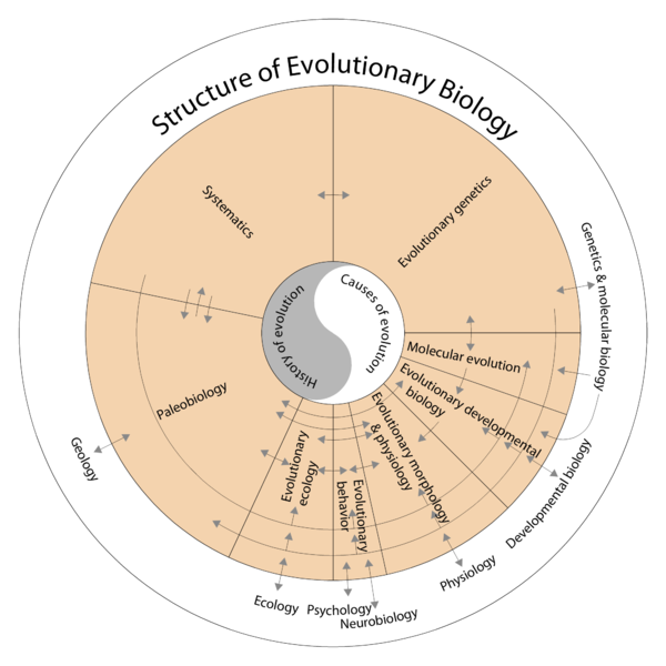 Structure of evolutionary biology - diagram from Wikimedia