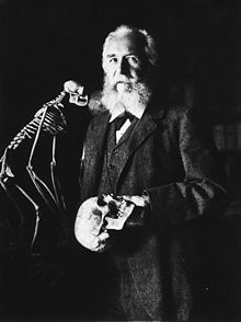 Ernst Haeckel, German biologist and naturalist