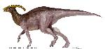 Ornithopod - Parasaurolophus