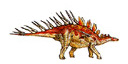 Stegosauria - Kentrosaurus