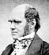 Charles Darwin aged 51