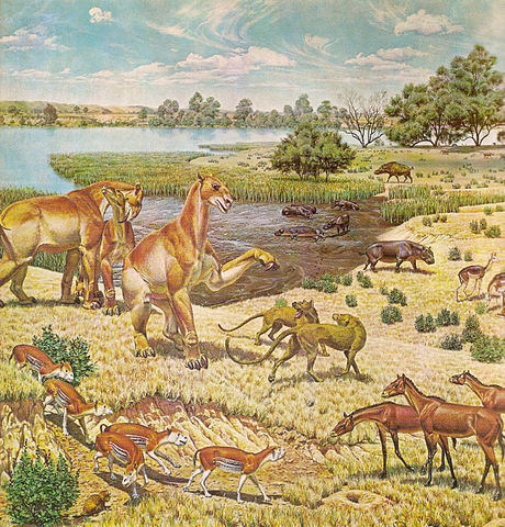 Restoration of Miocene fauna of North America, on a mural made for the Smithsonian Museum