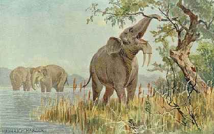 Deinotherium