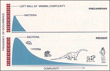 Stephen Jay Gould's argument against directional evolution