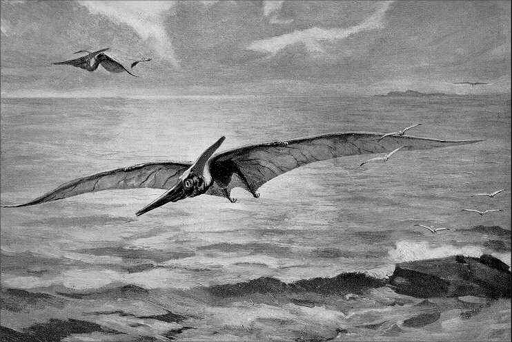 Pteranodon ingens