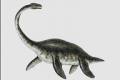 Plesiosaurus