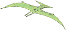 Pteranodon