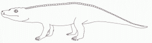 Hemiprotosuchus