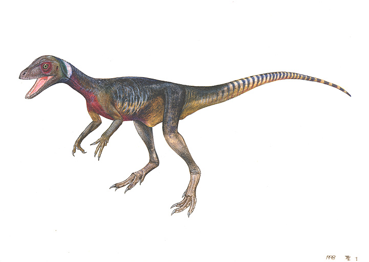 Herrerasaurus