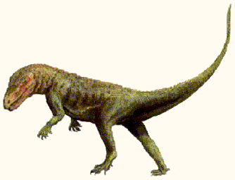 Ornithosuchus