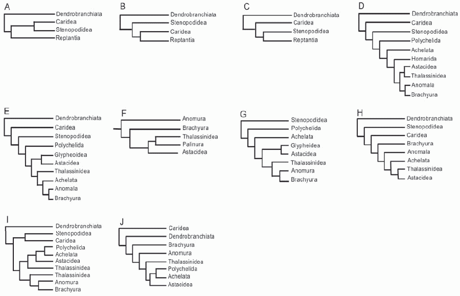 Hypotheses of higher-level decapod relationships - from Bracken et al 2009 fig 1