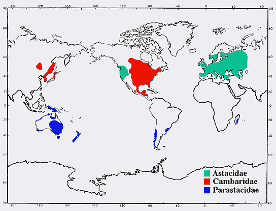 World distributions of the three crayfish families - diagram by Crandall and Fetzner, Tree of Life Astacidea.