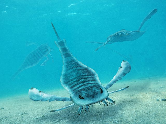 Eurypterus - life reconstruction