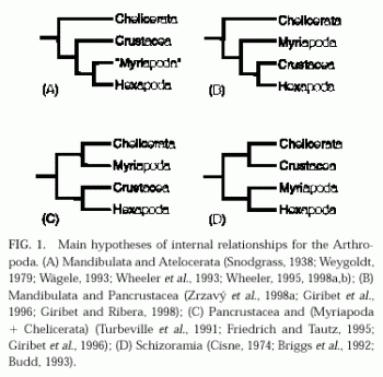 Alternative Arthropod Phylogenies