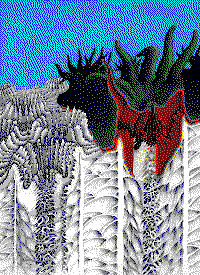 Cross-section through a coral