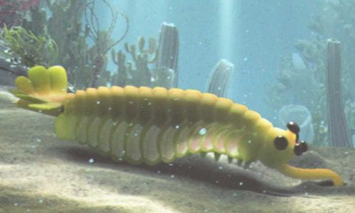 Opabinia regalis