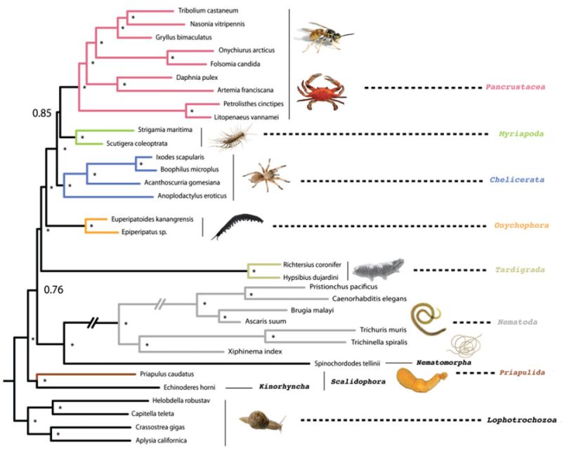 Campbell et al 2011 fig1