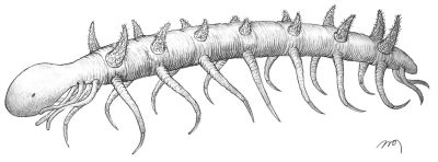 Hallucigenia hongmeia, life reconstruction from Steiner et al 2012