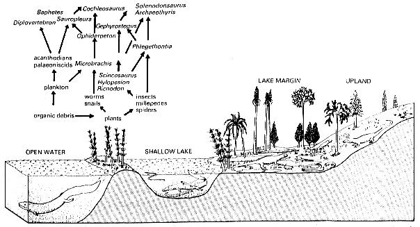 Nýrany ecology