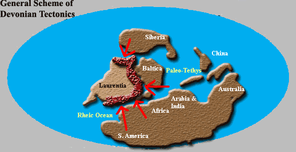 Generalized scheme of Devonian tectonics