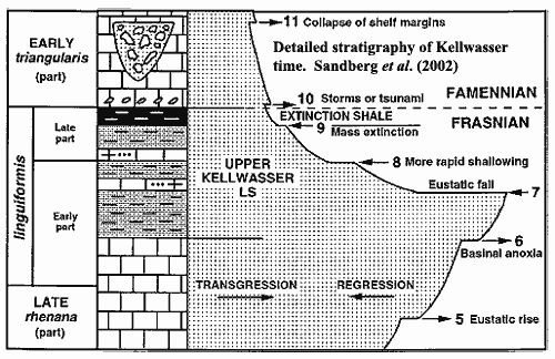 Detailed stratigraphy of Kellwasser from Sandberg et al. (2002)