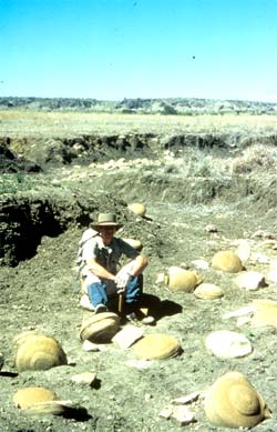 Gogo, John Long, and limestone nodules