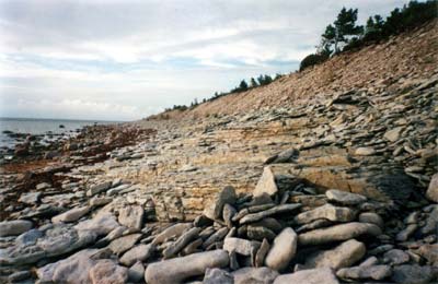 Saaremaa Island (Panga)