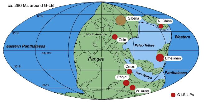 Middle-Late Permian large igneous provinces