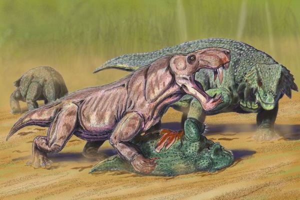 Inostrancevia and Scutosaurus