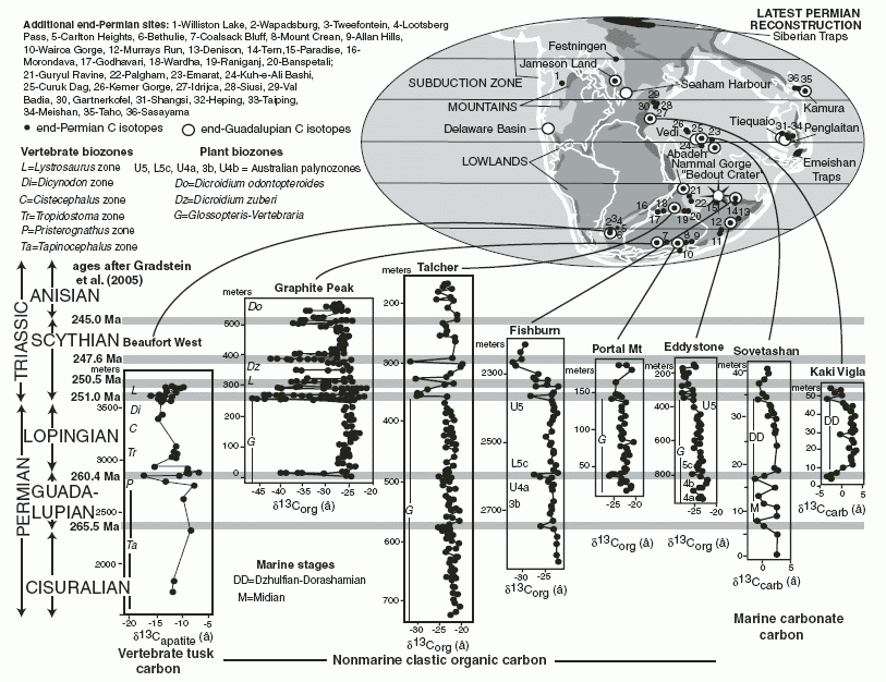 Permian extinction events indicated by Carbon isotope records