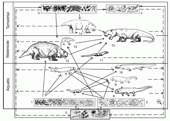 Reconstructed food web