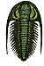 trilobite