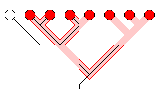 monophyletic taxon