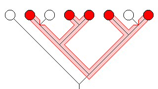 paraphyletic taxon