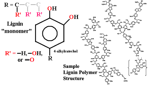 Lignin structures