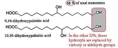 Cutin monomers V. sativa