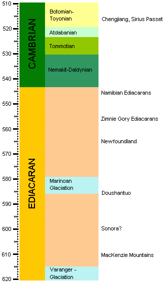 Ediacaran-Cambrian Column (32772 bytes)