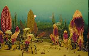 Ediacaran scene