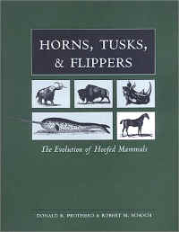 Horns, Tusks & Flippers