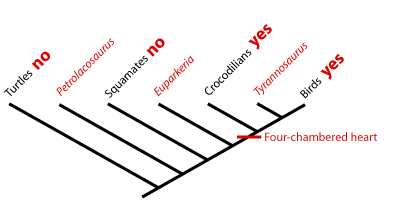 Extant Phylogenetic Bracket