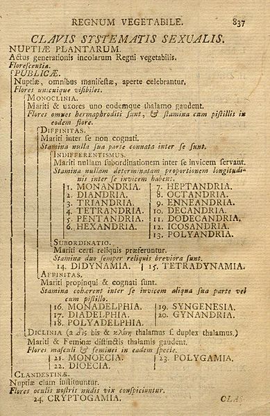 Page from Linnaeus's Systema naturae