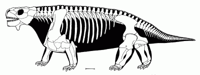 Bradysaurus, from Lee 1997