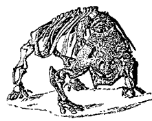 Scutosaurus karpinskii