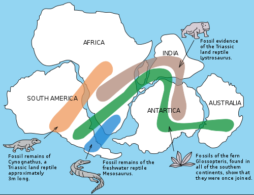 Snider-Pellegrini Wegener fossil map