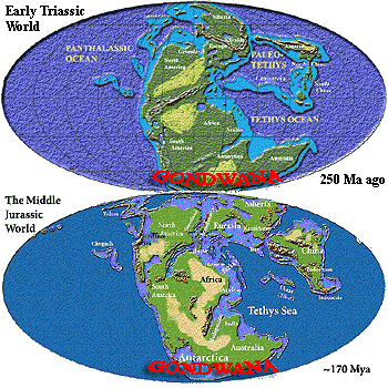 Early Mesozoic Gondwana