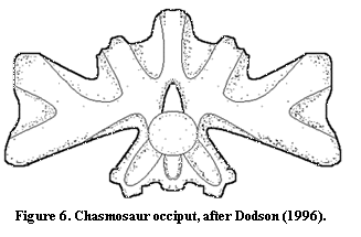 Chasmosaurus