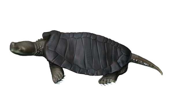 Kayentochelys aprix -  life reconstruction by Nobu Tamura