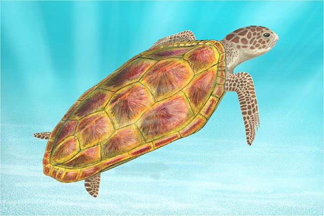 Santanachelys gaffneyi - life reconstruction by Smokeybjb