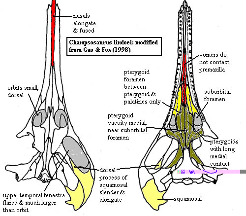 Champsosaurus